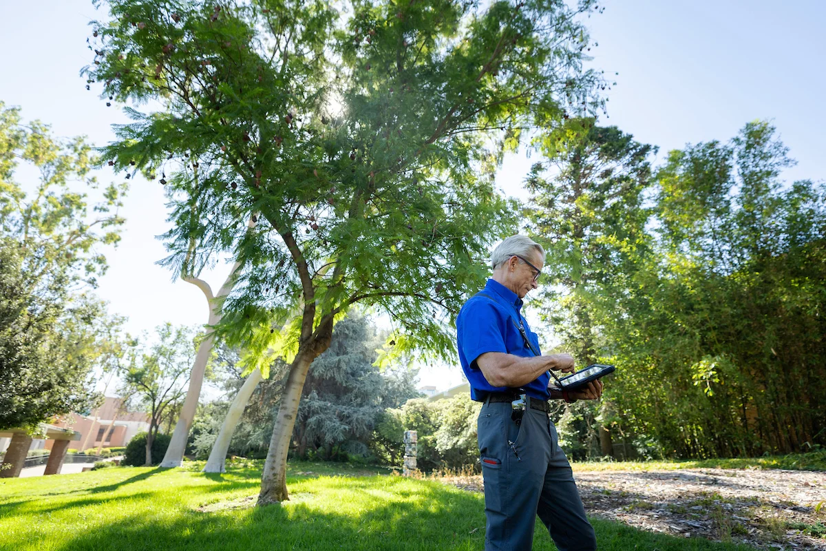 New Inventory Maps Campus Trees | Facilities Services